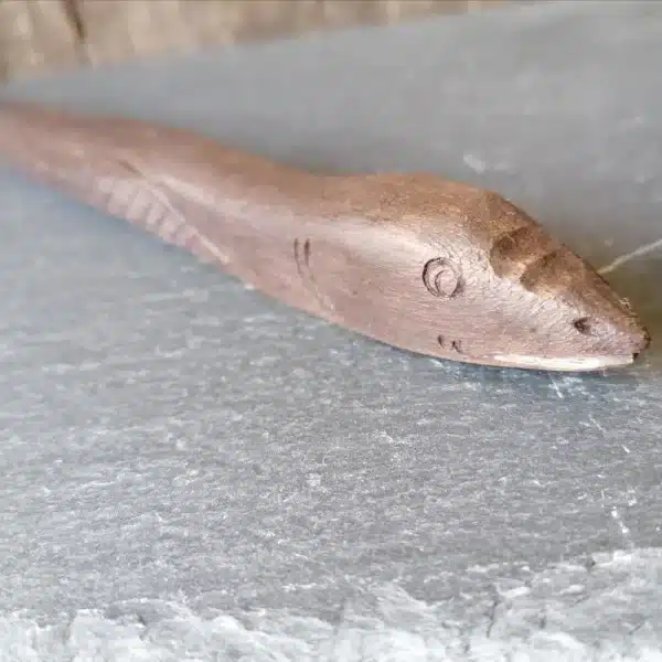 Baguette magique : serpent – Image 2