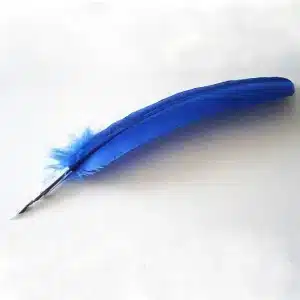plume bleue