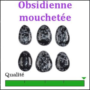 Obsidienne mouchetée