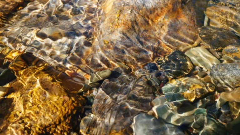 Purification par l'eau