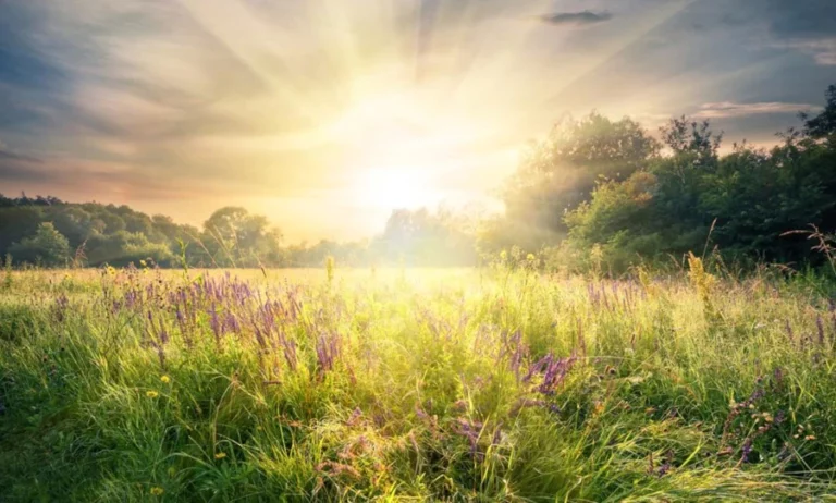 solstice d'été sabbat de litha