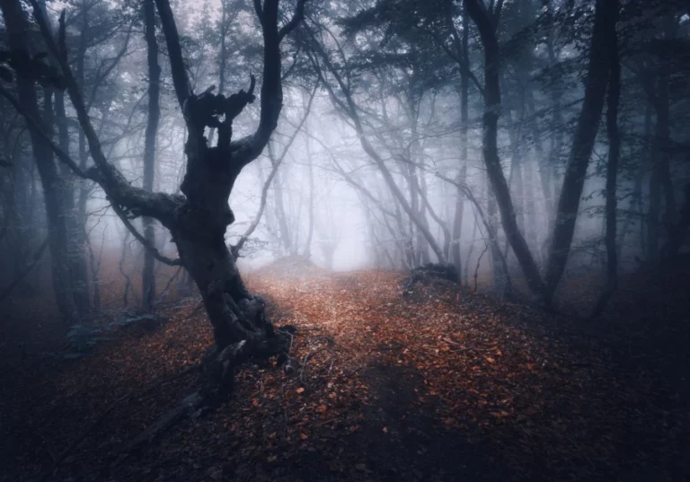 paysage automne sabbat de samhain