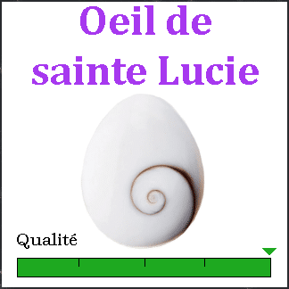 oeil-de-sainte-lucie-coquillage-min-raux-lithoth-rapie