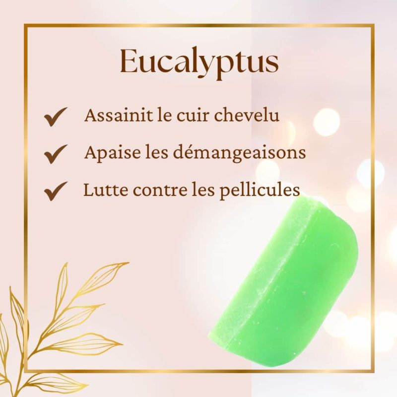 Shampoing eucalyptus Shampoing solide : Eucalyptus