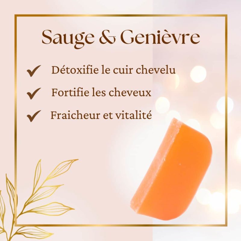 Shampoing sauge genievre shampoing solide à la sauge et genièvre