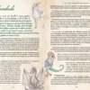 Curiosités féeriques et surnaturelles – Élaborer son cabinet de curiosités